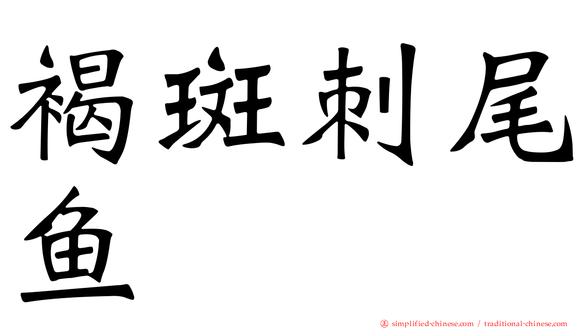褐斑刺尾鱼