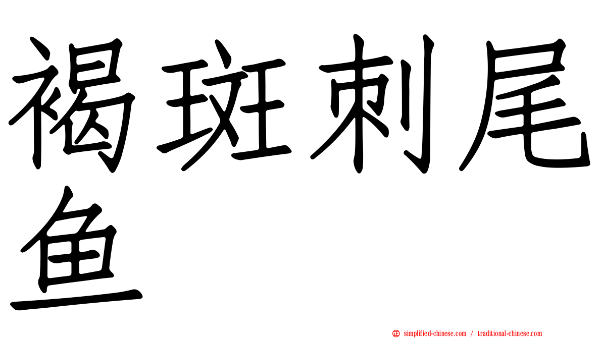 褐斑刺尾鱼