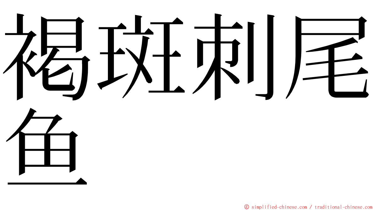 褐斑刺尾鱼 ming font