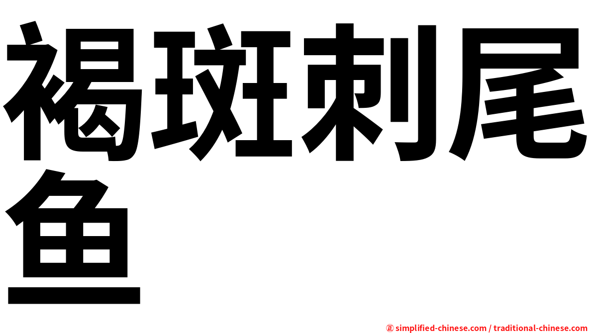 褐斑刺尾鱼