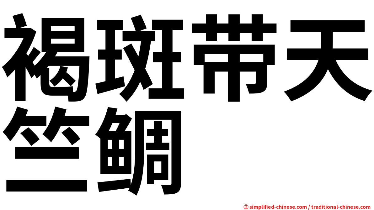 褐斑带天竺鲷