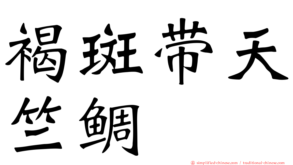 褐斑带天竺鲷