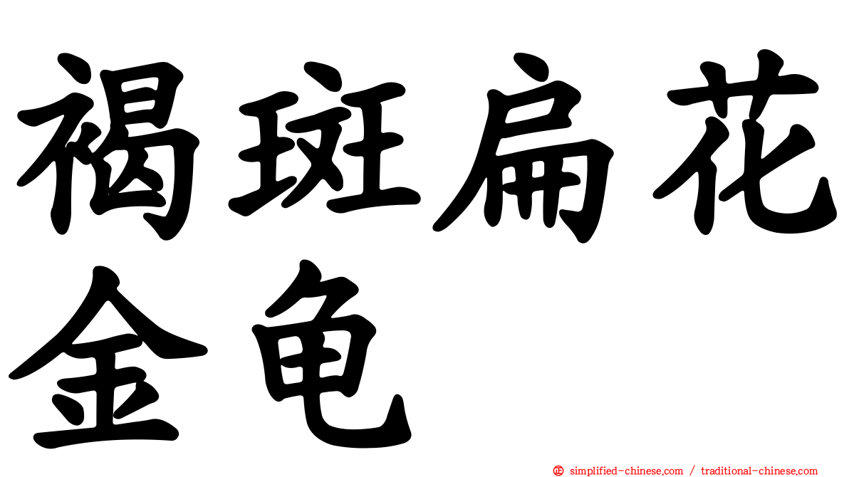 褐斑扁花金龟