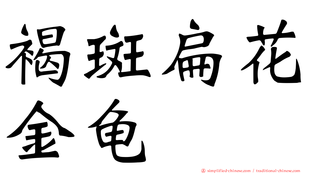 褐斑扁花金龟