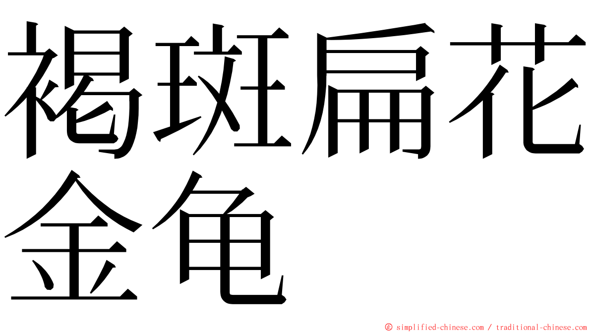 褐斑扁花金龟 ming font