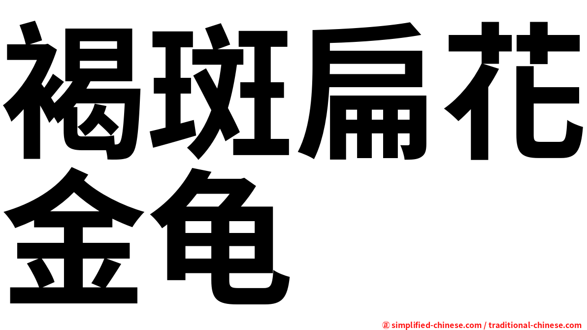 褐斑扁花金龟