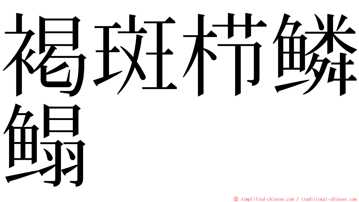 褐斑栉鳞鳎 ming font