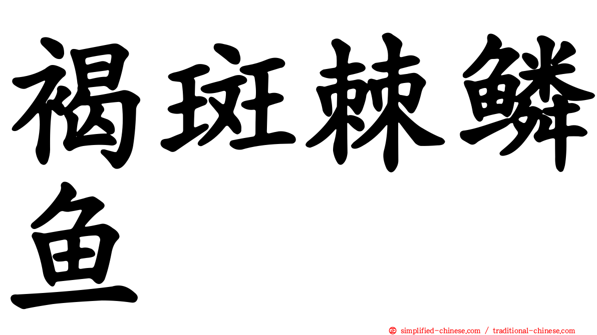 褐斑棘鳞鱼