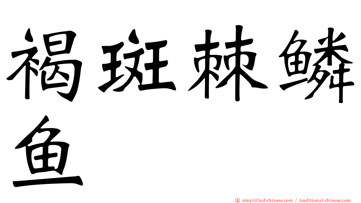 褐斑棘鳞鱼
