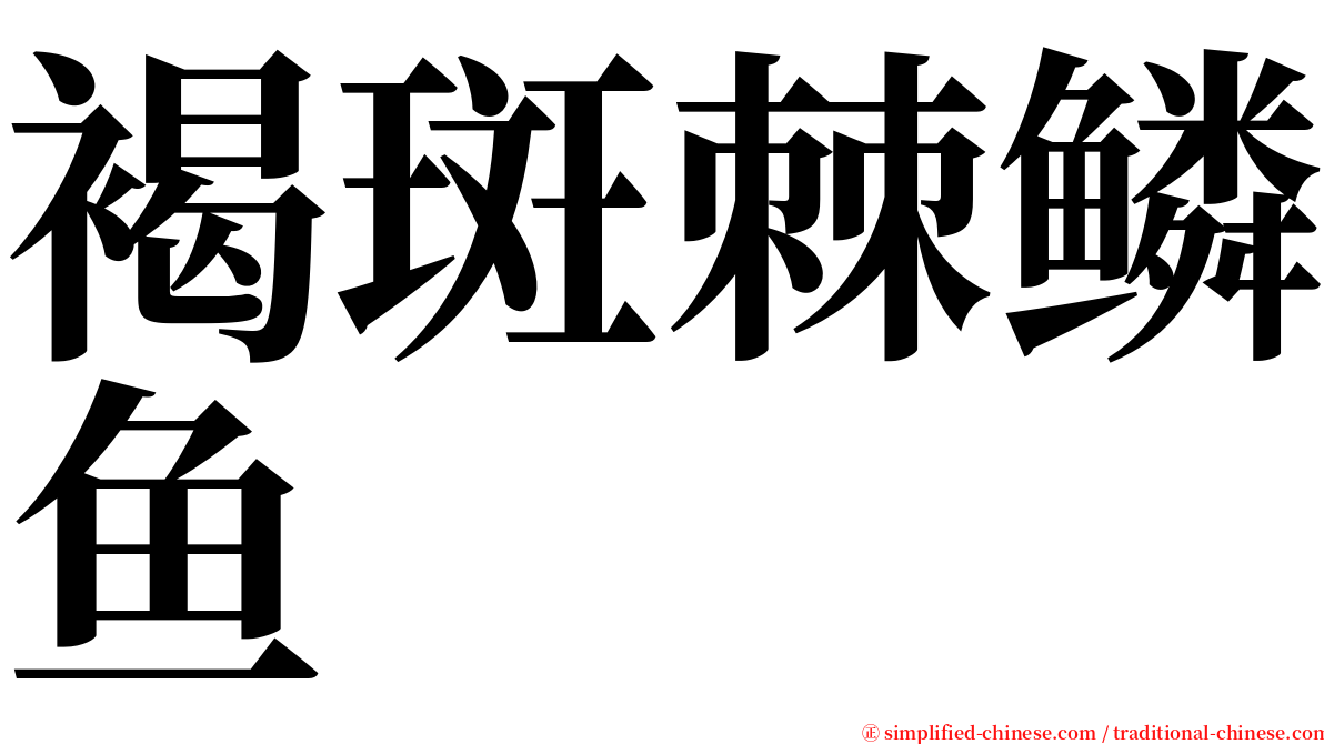 褐斑棘鳞鱼 serif font