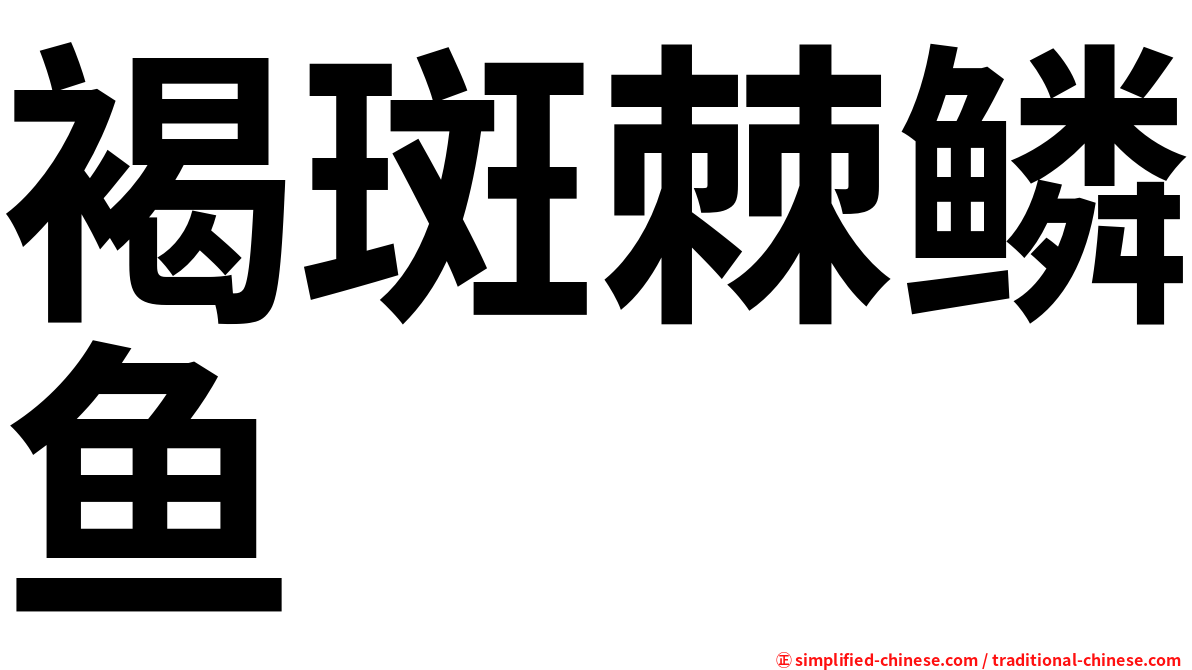 褐斑棘鳞鱼