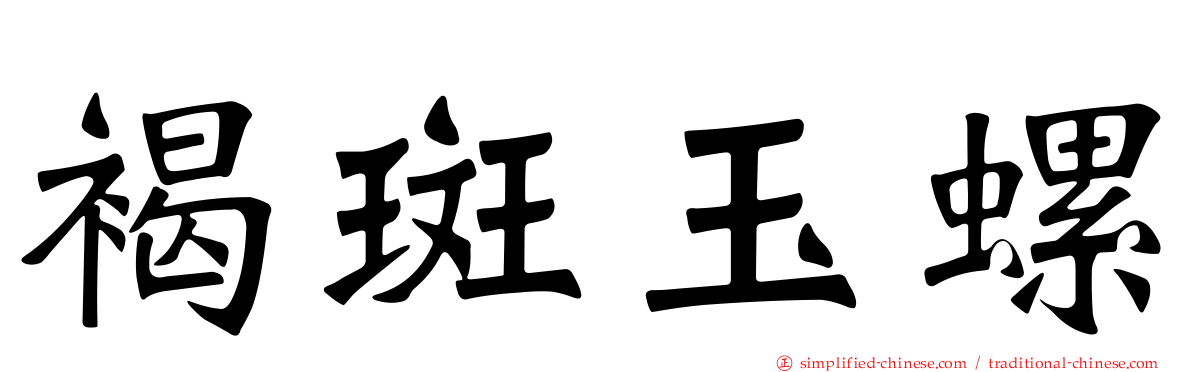 褐斑玉螺