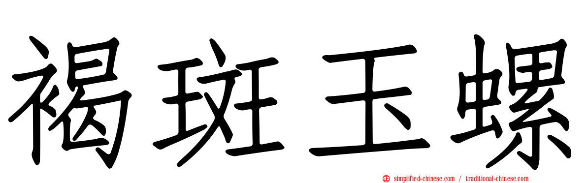 褐斑玉螺