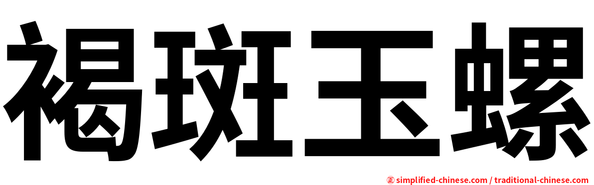 褐斑玉螺