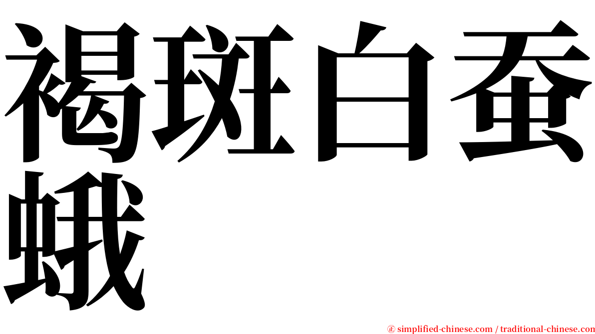 褐斑白蚕蛾 serif font