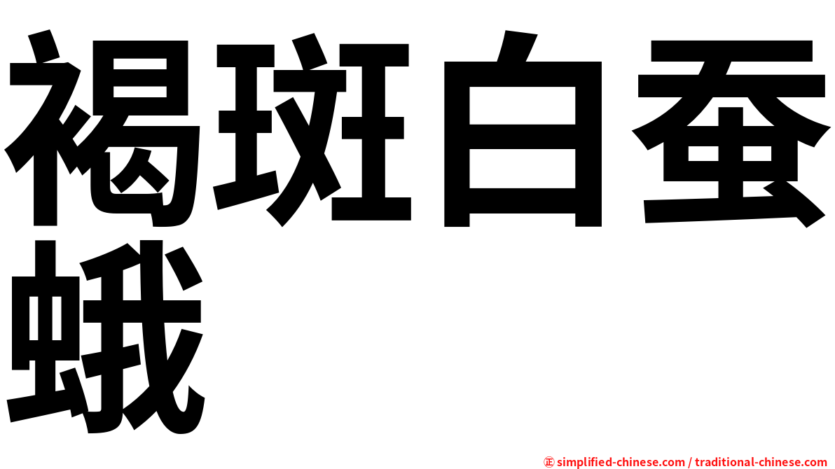 褐斑白蚕蛾