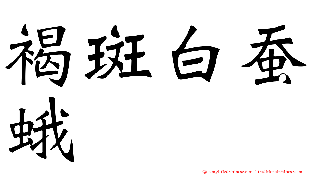 褐斑白蚕蛾