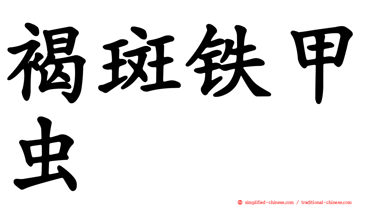 褐斑铁甲虫