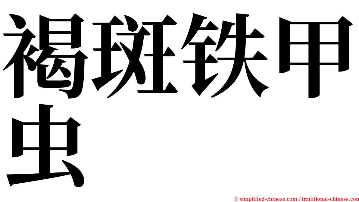 褐斑铁甲虫 serif font