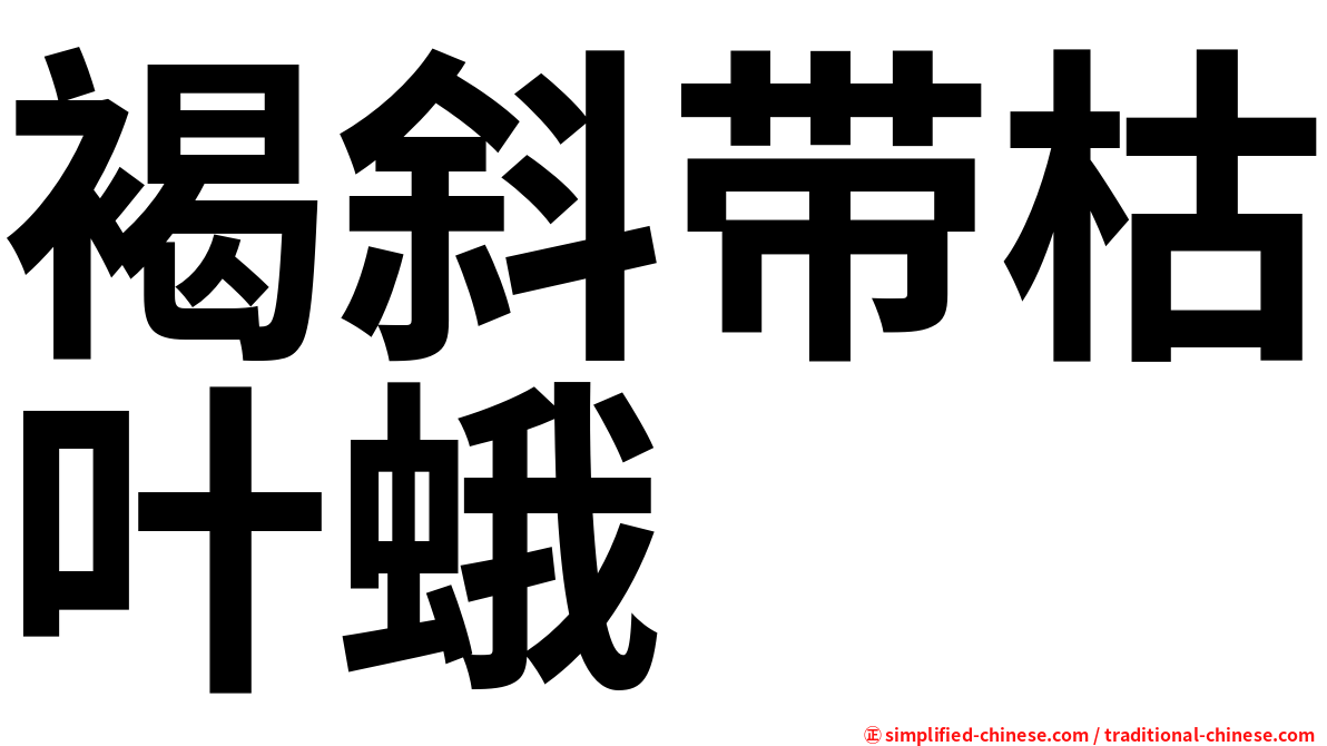 褐斜带枯叶蛾