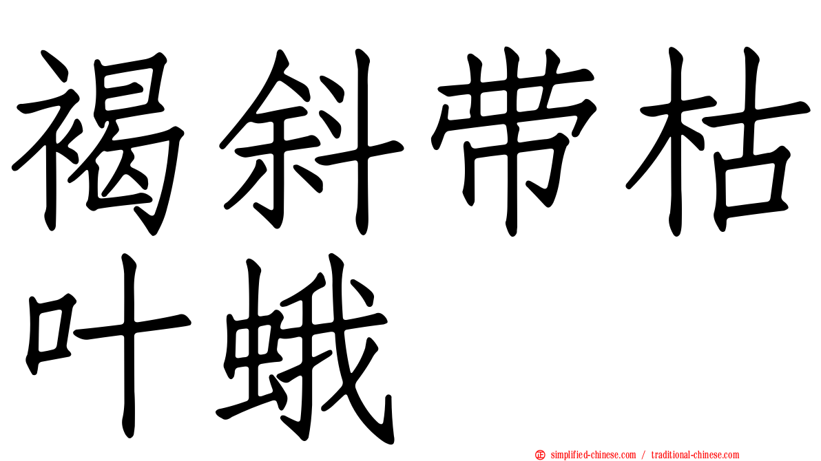 褐斜带枯叶蛾