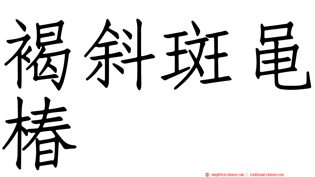 褐斜斑黾椿