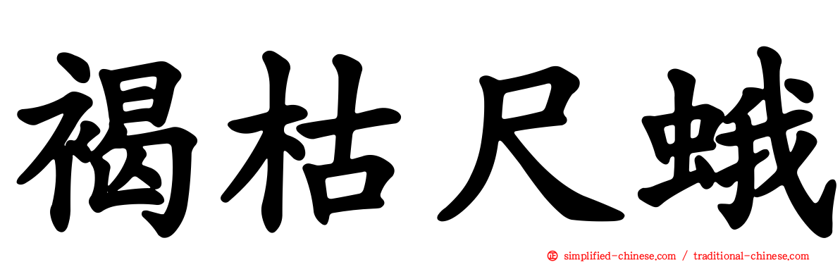 褐枯尺蛾
