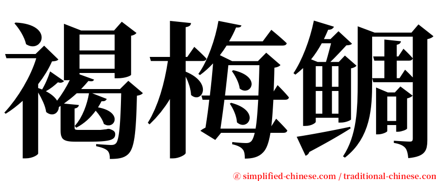 褐梅鲷 serif font