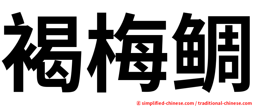 褐梅鲷