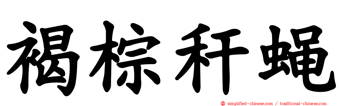 褐棕秆蝇
