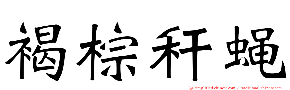 褐棕秆蝇