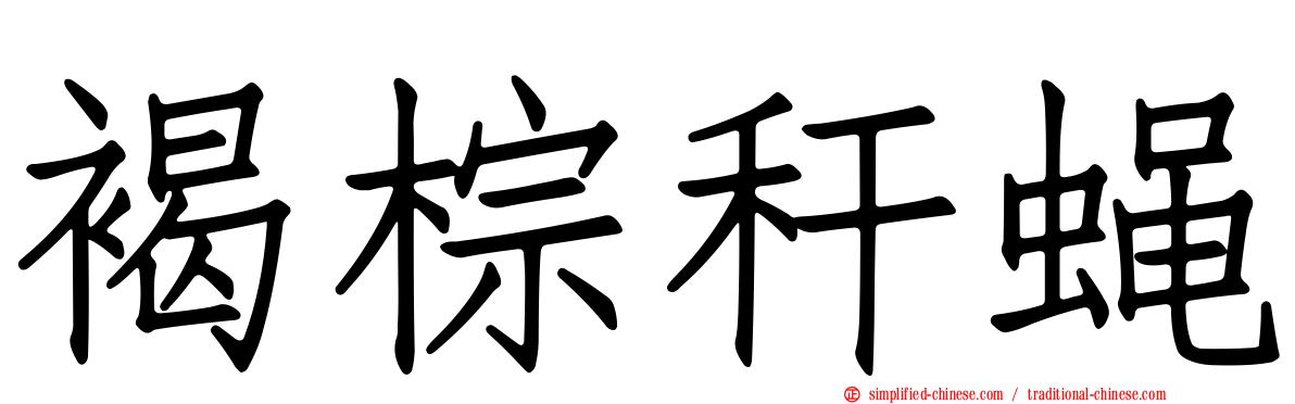 褐棕秆蝇