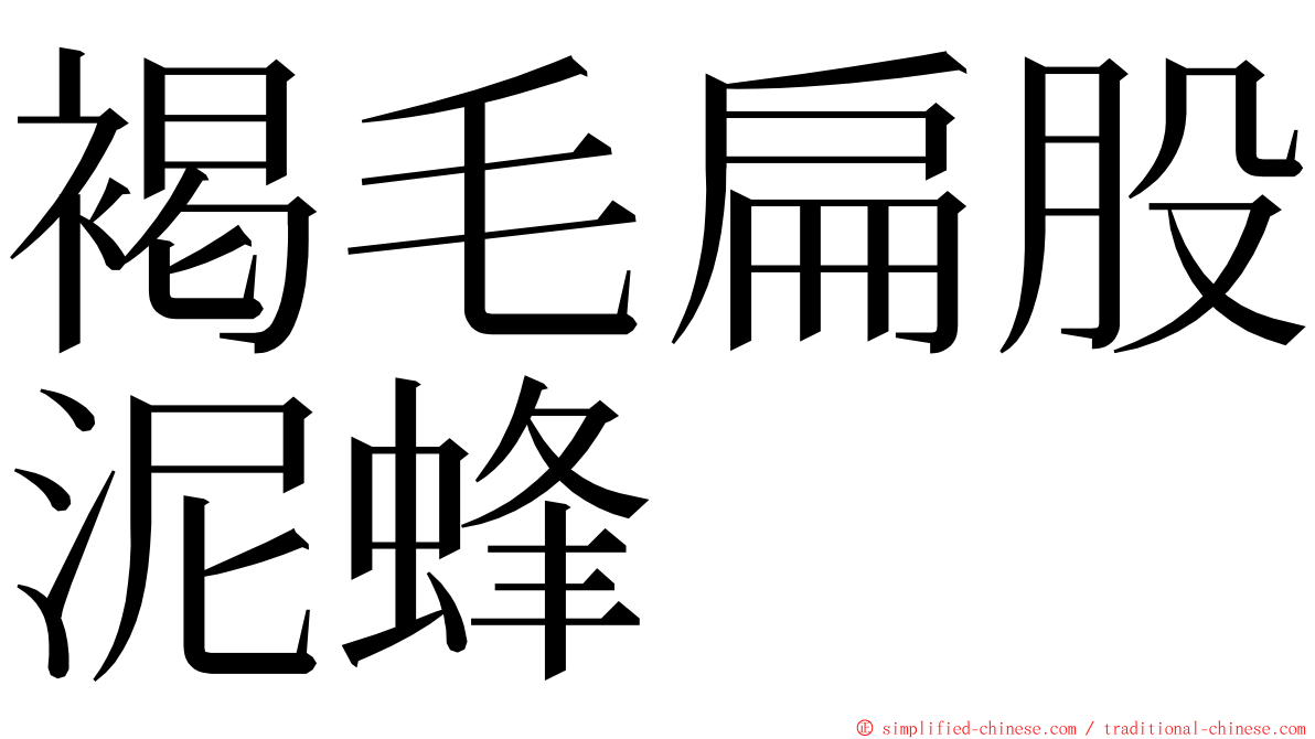 褐毛扁股泥蜂 ming font