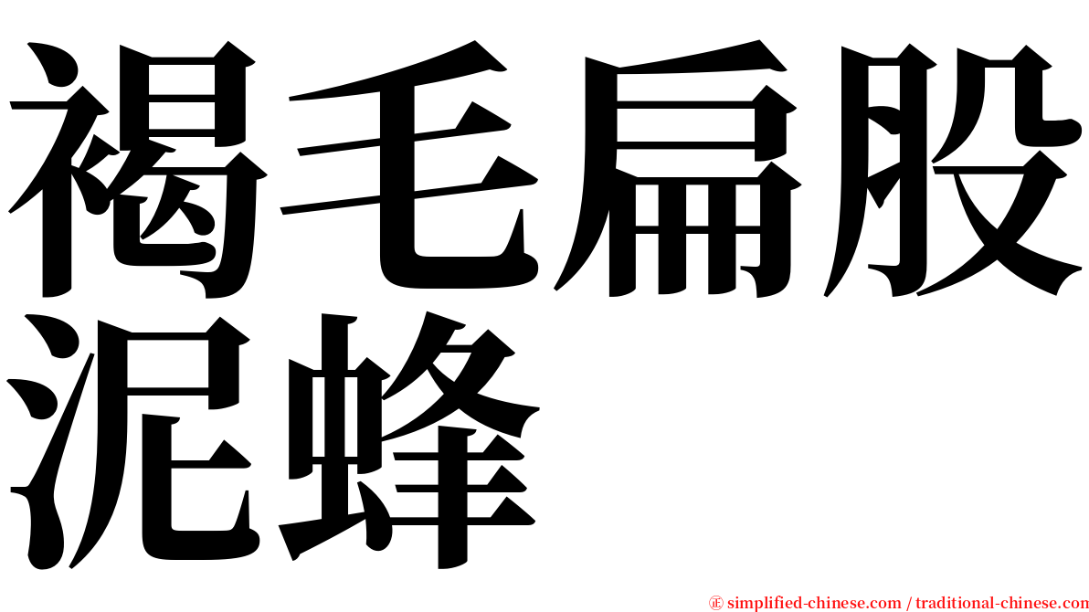 褐毛扁股泥蜂 serif font