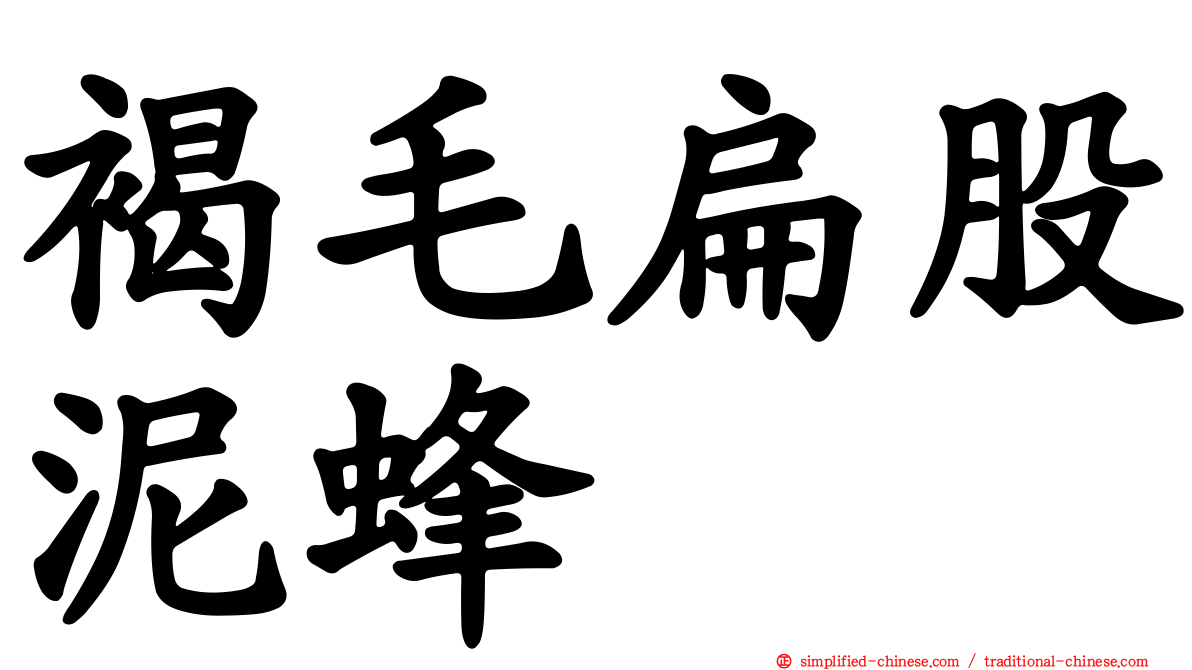 褐毛扁股泥蜂