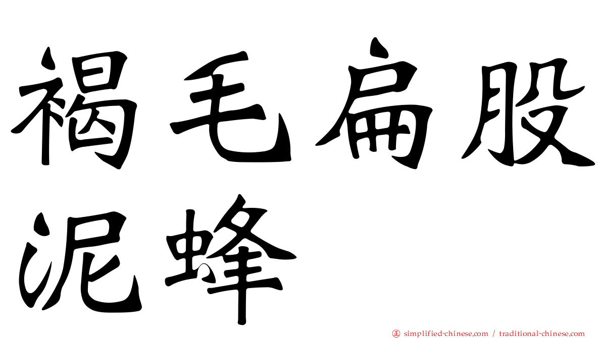 褐毛扁股泥蜂
