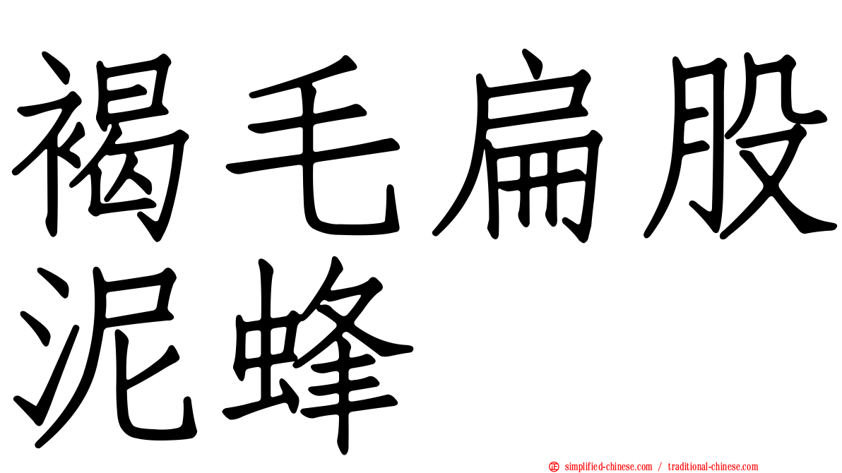 褐毛扁股泥蜂