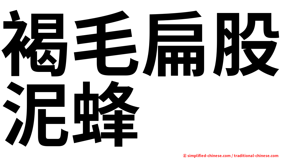 褐毛扁股泥蜂