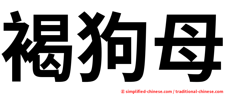 褐狗母