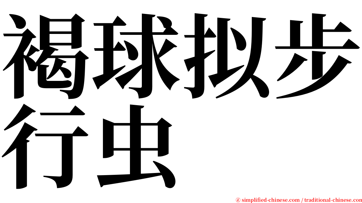 褐球拟步行虫 serif font