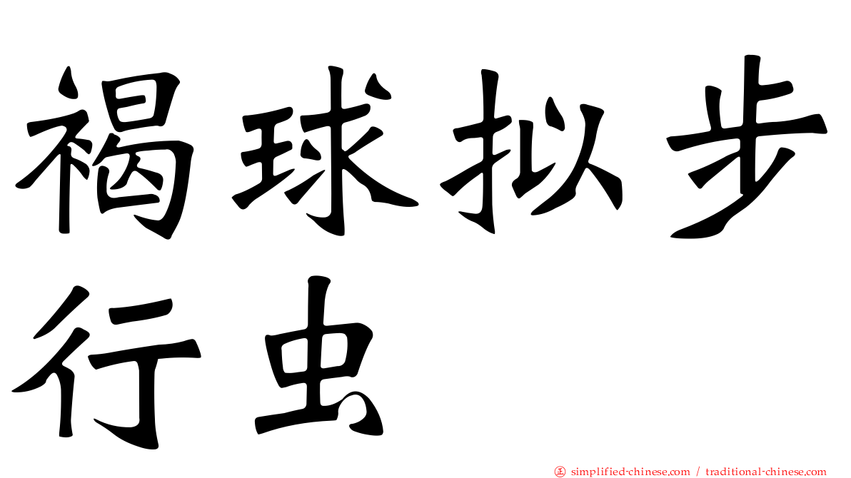 褐球拟步行虫