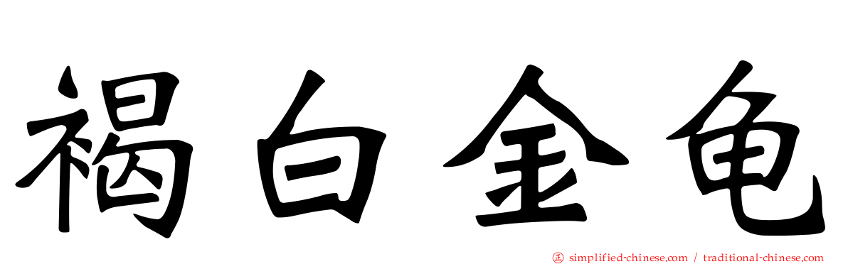 褐白金龟