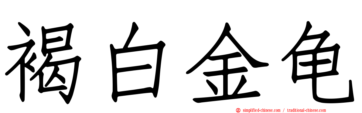 褐白金龟