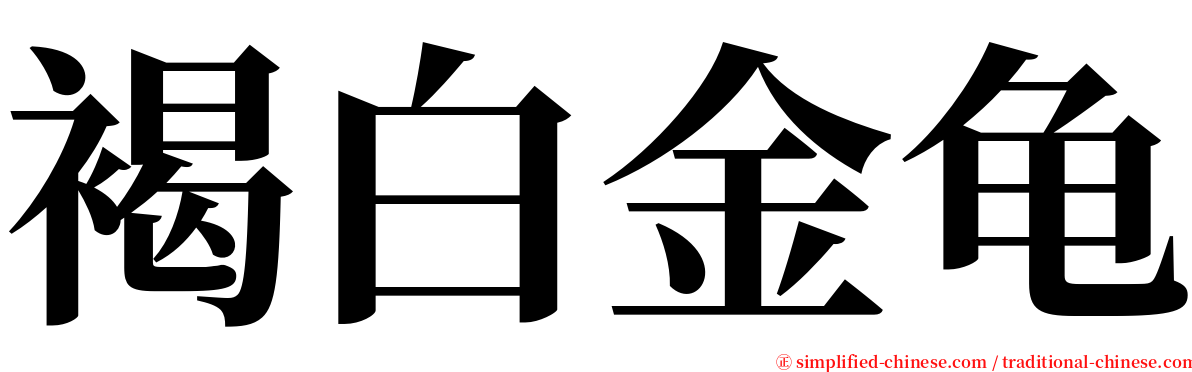 褐白金龟 serif font