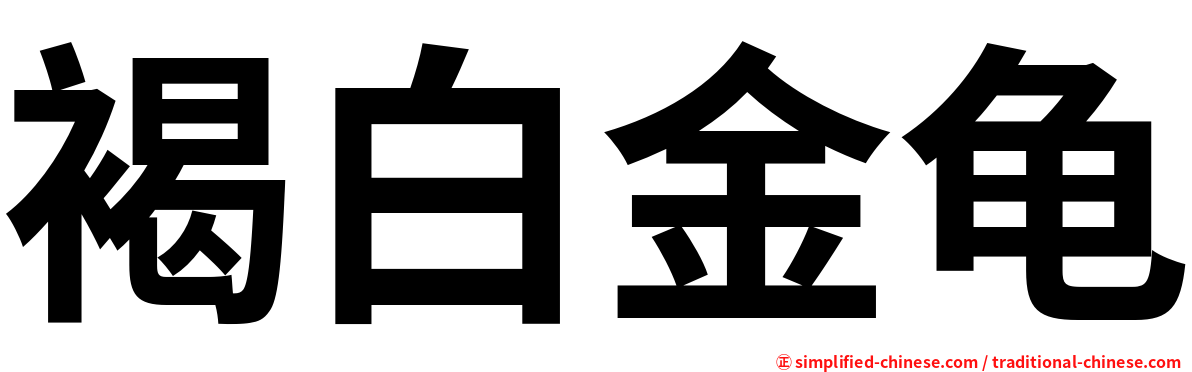 褐白金龟
