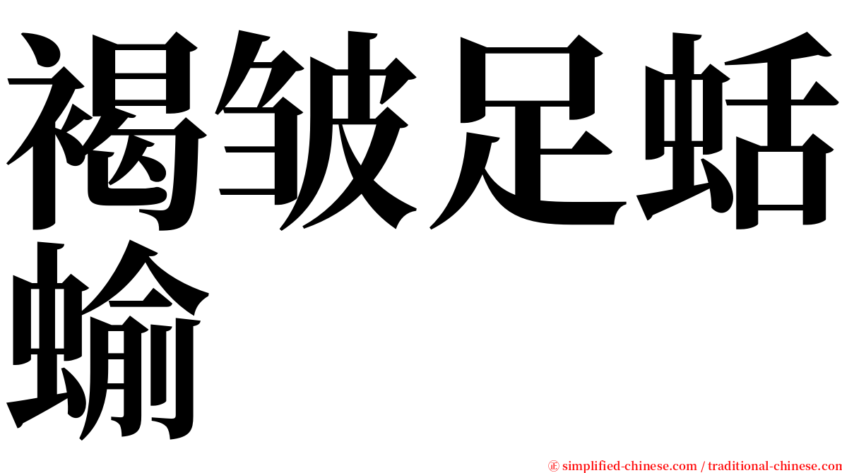 褐皱足蛞蝓 serif font