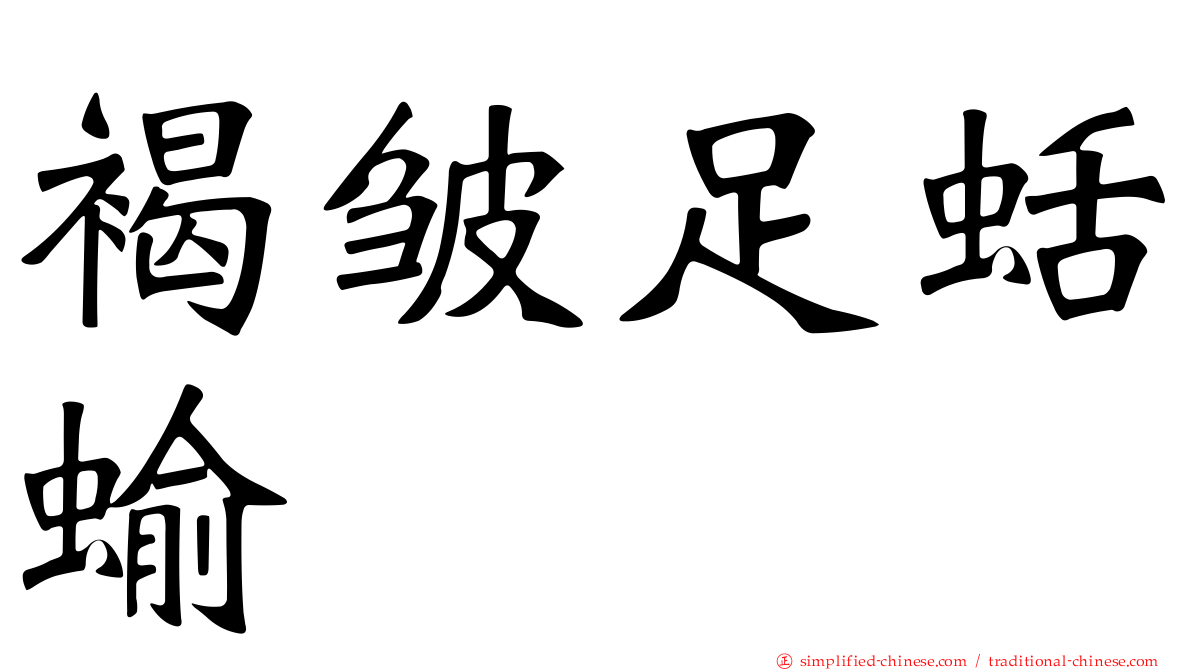 褐皱足蛞蝓