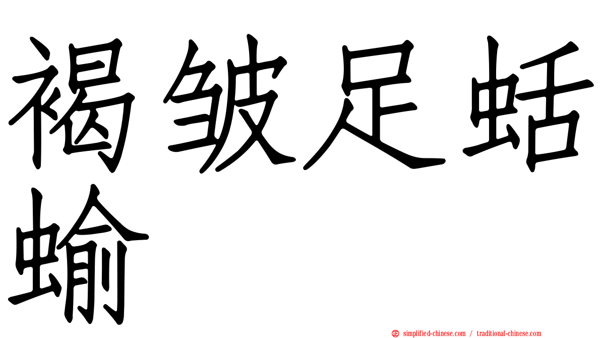 褐皱足蛞蝓