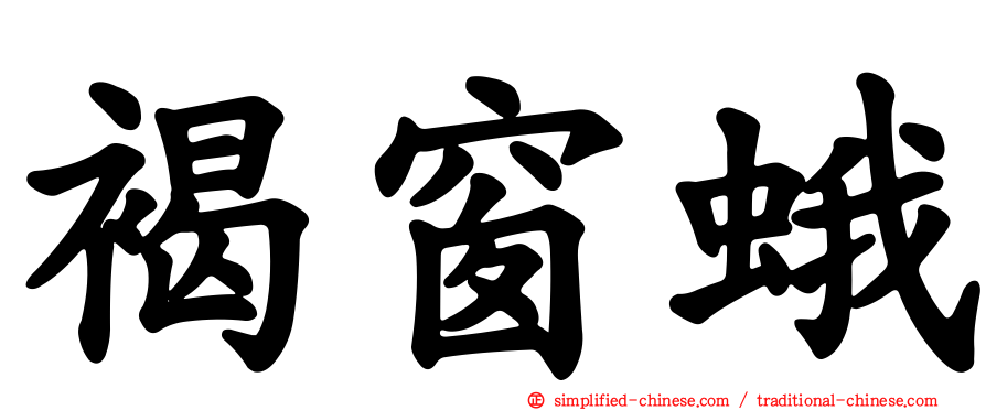 褐窗蛾