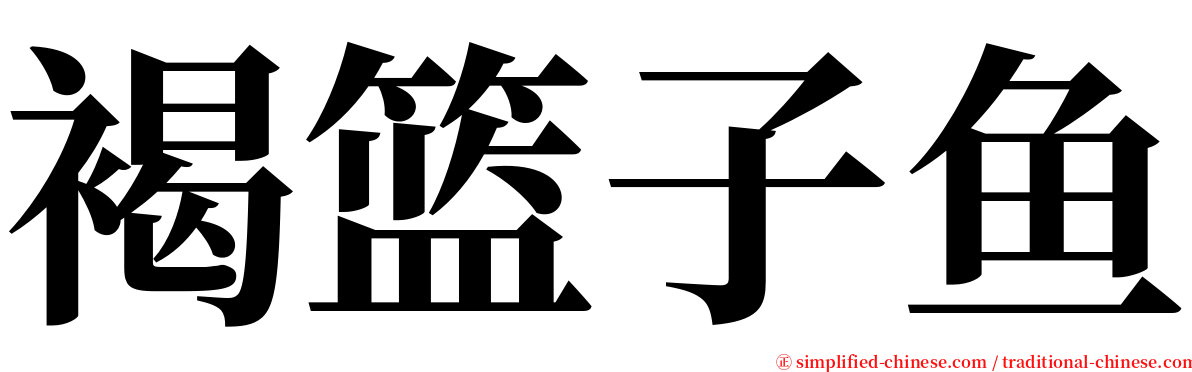 褐篮子鱼 serif font